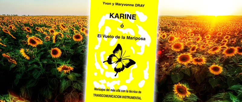 karime el vuelo de la mariposa