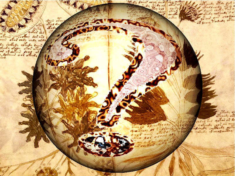 el misterioso codigo voynich