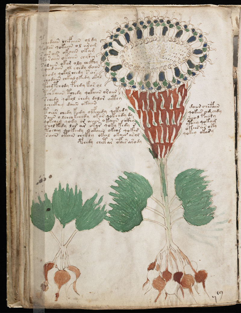 el manuscrito voynich descargar