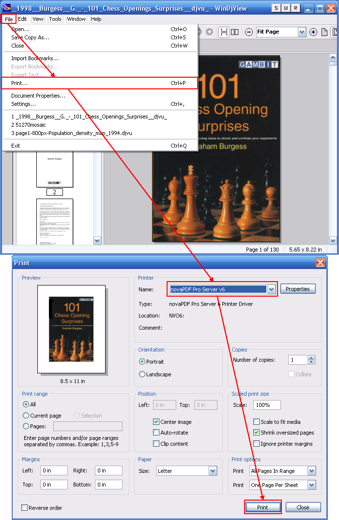 como convierto un archivo djvu a