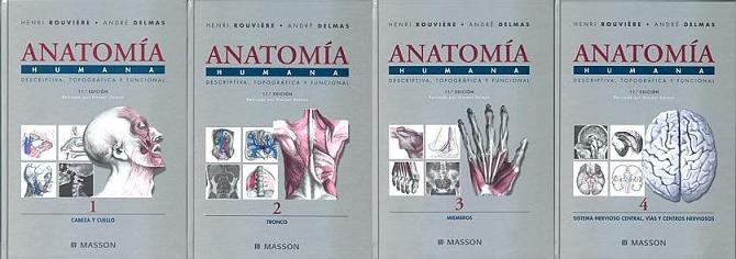anatomia humana rouviere tomo 1