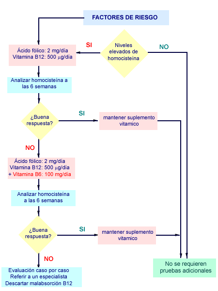 hiperhomocisteinemia tratamiento
