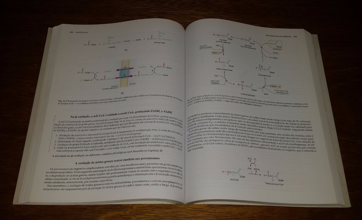 bioquimica basica bayardo