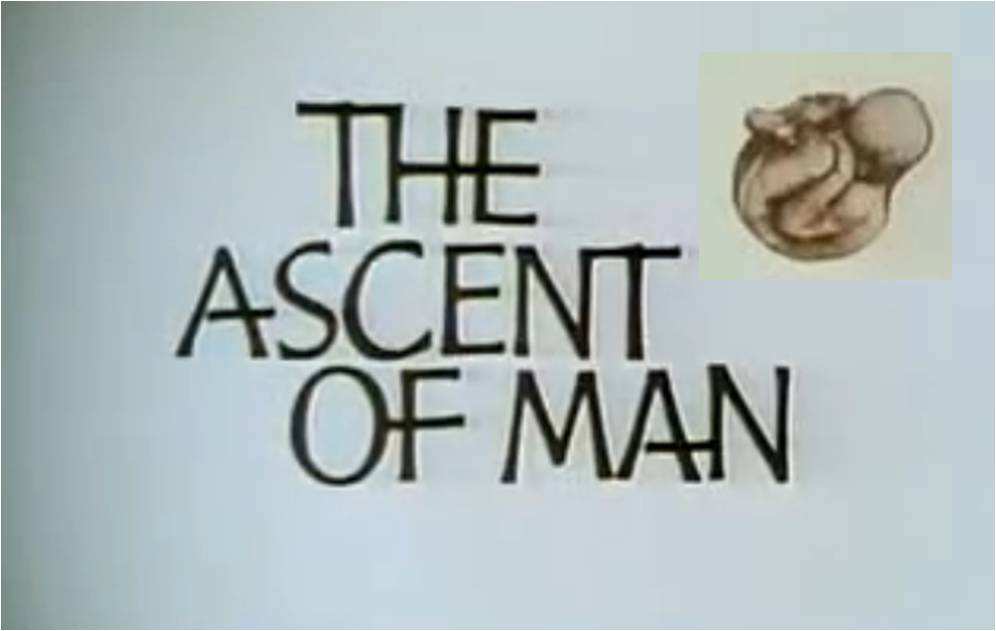 jacob bronowski ascent of man