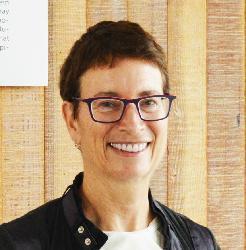 lisa rofel desiring china