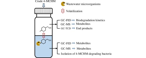 4 methylcyclohexane methanol msds