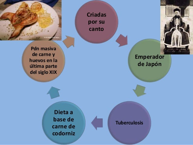 coturnicultura en colombia