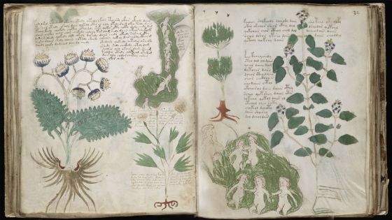 el misterioso codigo voynich