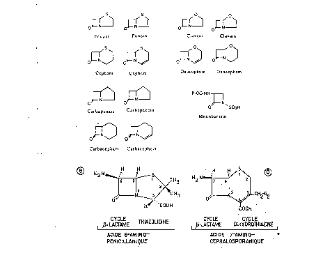 antibiotici beta lattamici