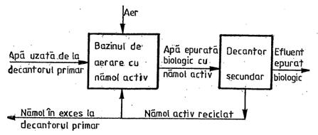 epurarea biologica a apelor uzate