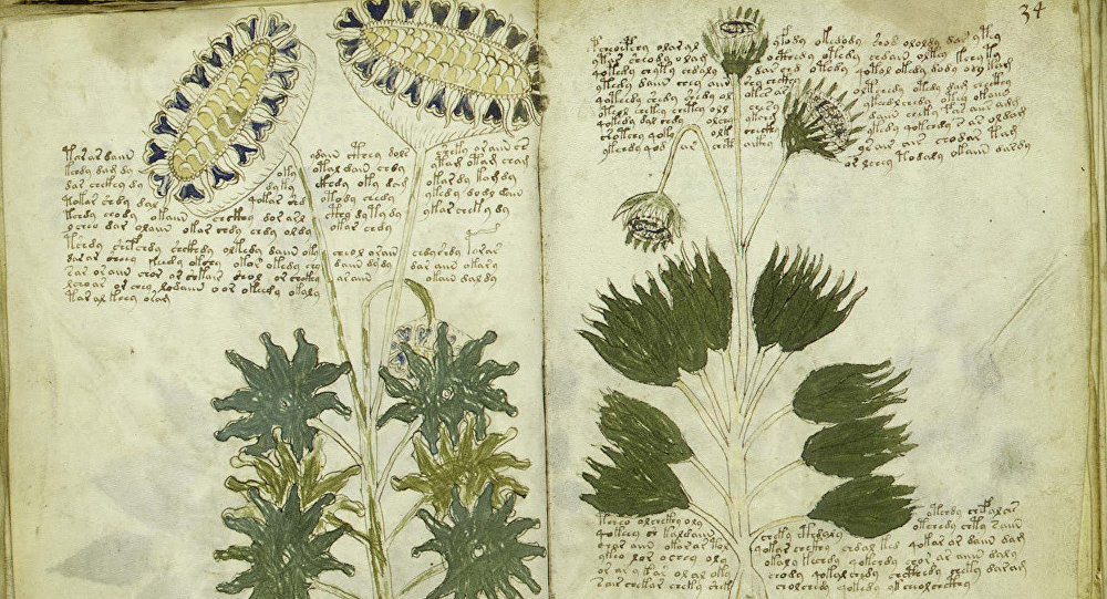 el misterioso codigo voynich