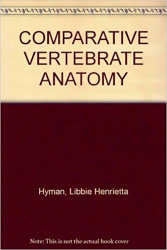 comparative anatomy of vertebrates hyman