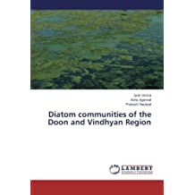 introduction to structural analysis by b.d.nautiyal