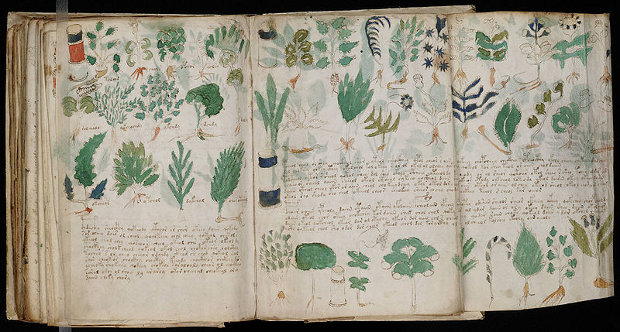 el misterioso codigo voynich
