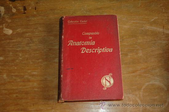 compendio de anatomia de testut