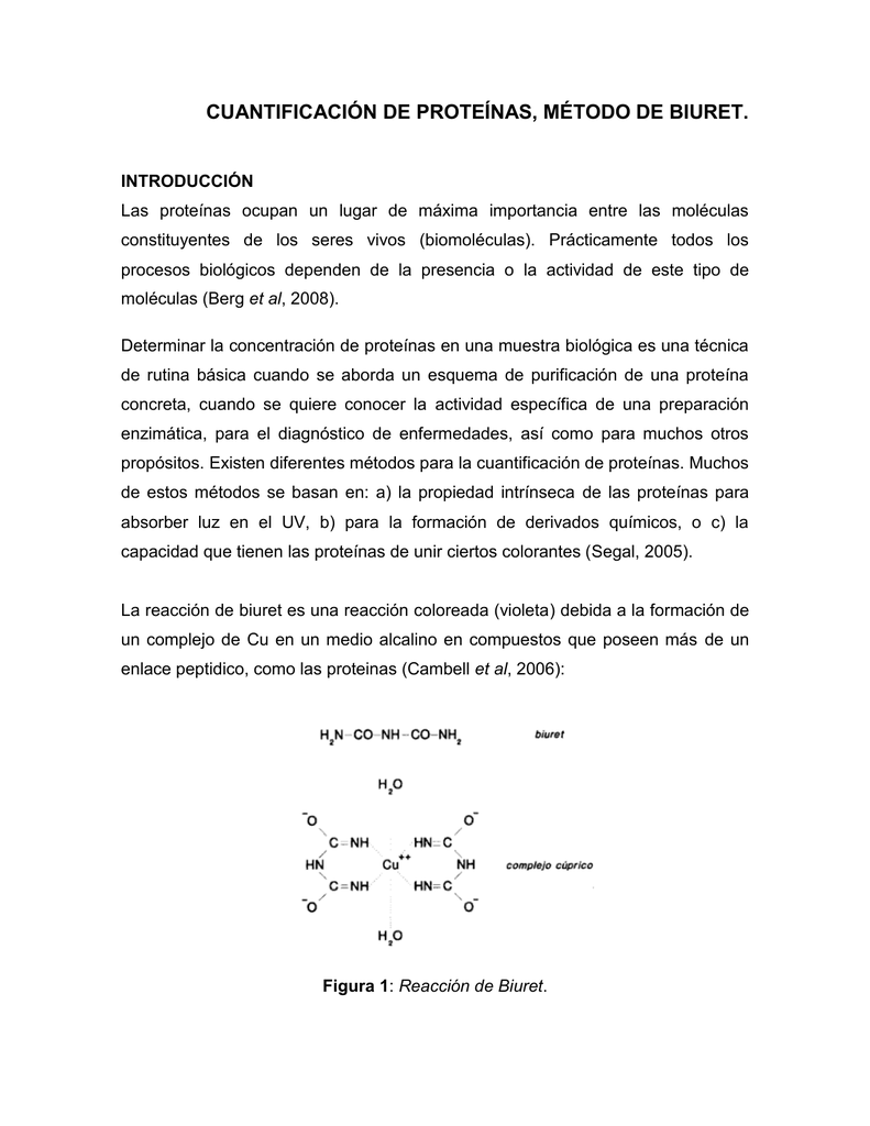 en que consiste el metodo de biuret