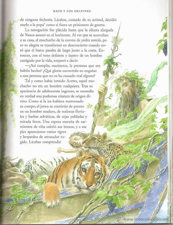 las metamorfosis de ovidio vicens vives