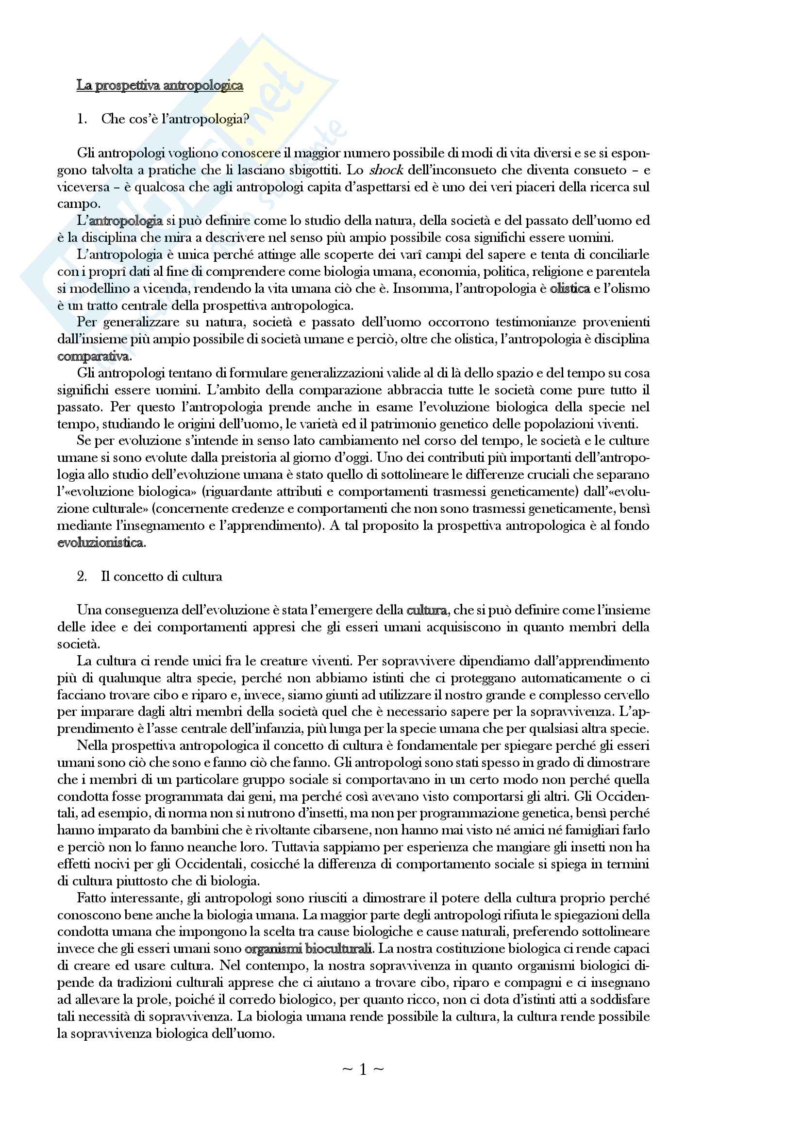 antropologia culturale schultz lavenda