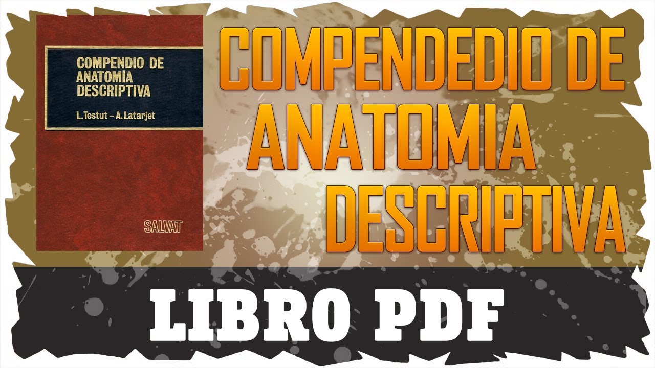 compendio de anatomia testut latarjet