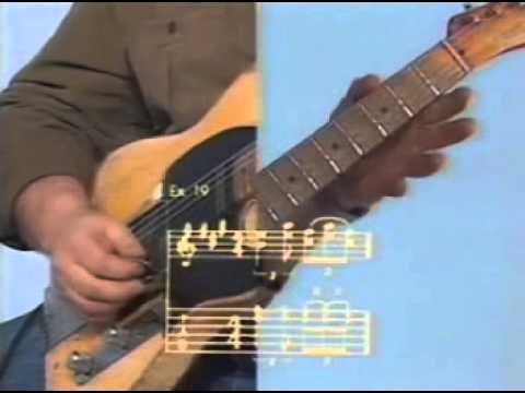 danny gatton telemaster