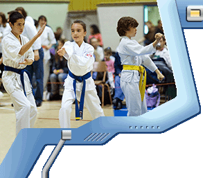 kyokushin karate terminology