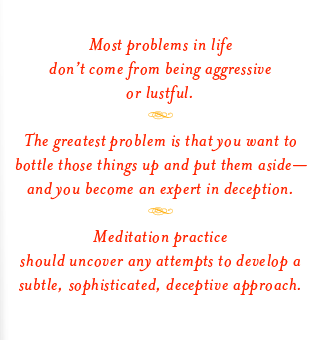 cutting through spiritual materialism chogyam trungpa