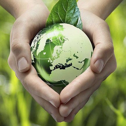 antisuero definicion