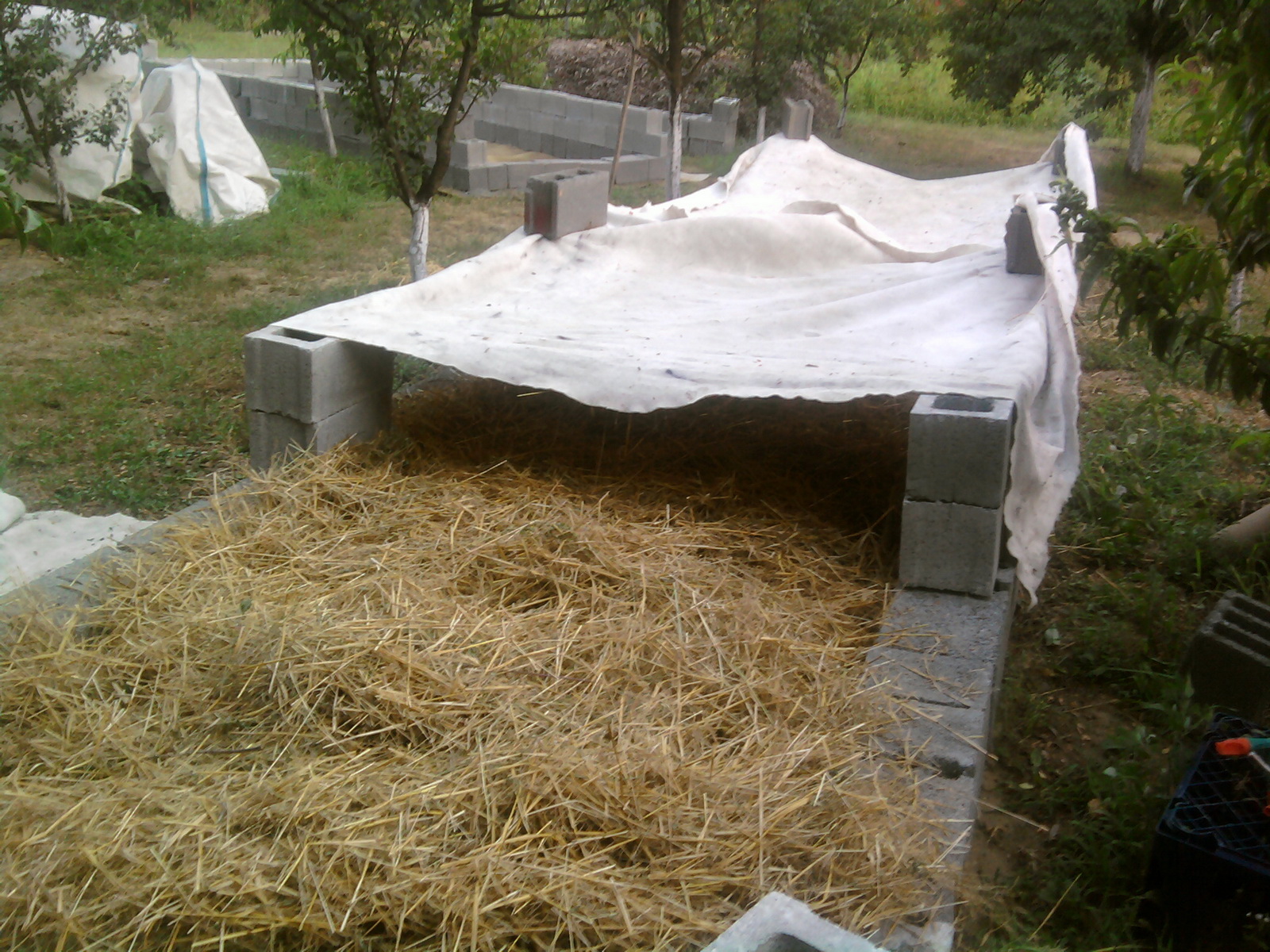 kalifornijske gliste uzgoj