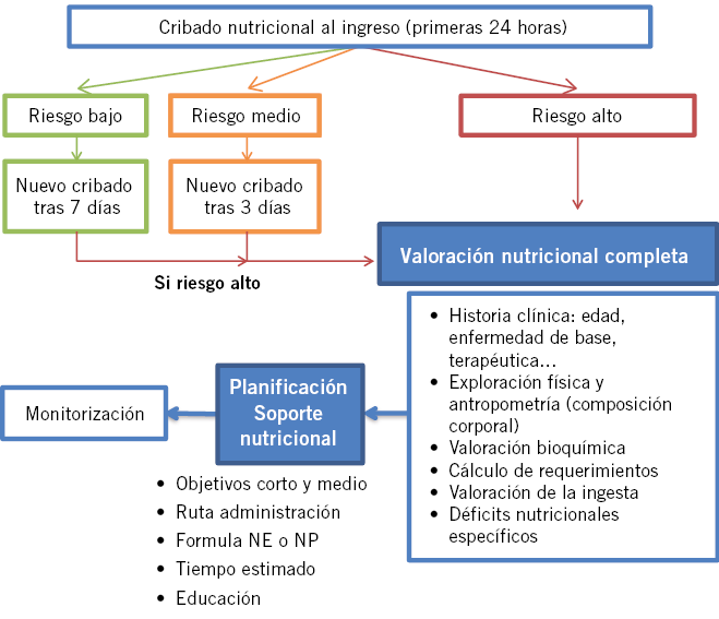 alimentacion enteral y parenteral