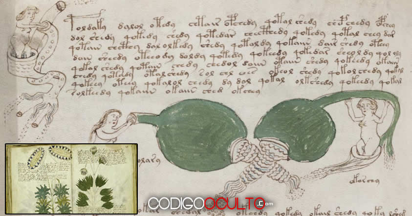 el manuscrito voynich descargar