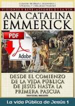 catalina emmerich libros