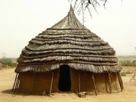 chinua achebe the madman