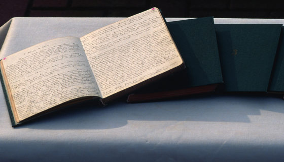 dzienniczek faustyny kowalskiej